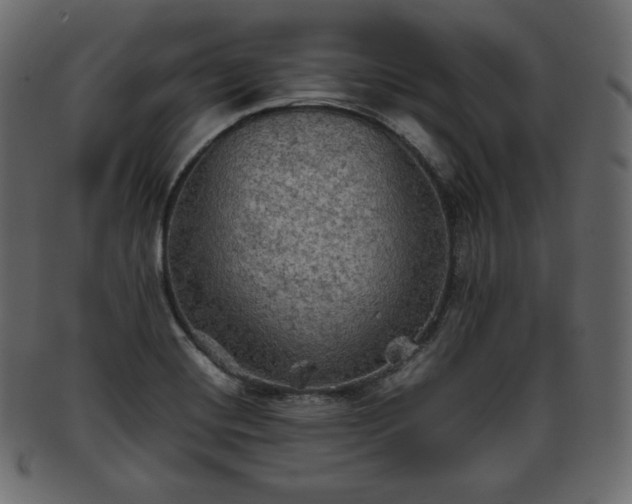 X0000093371420200710191108