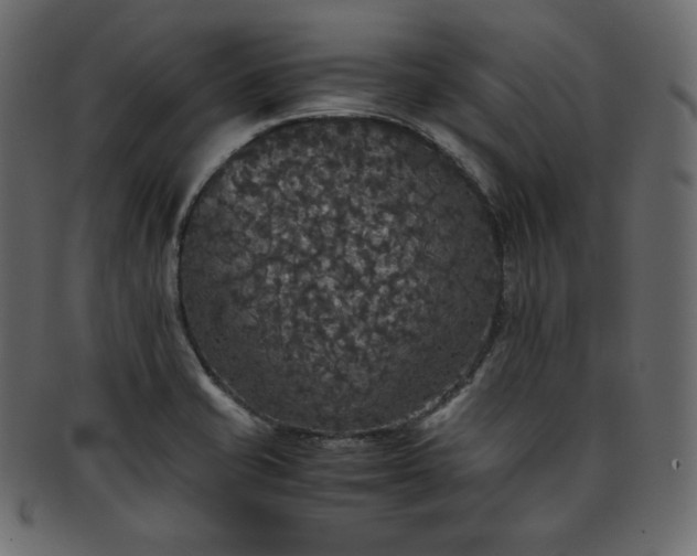 X0000093371421200710191108