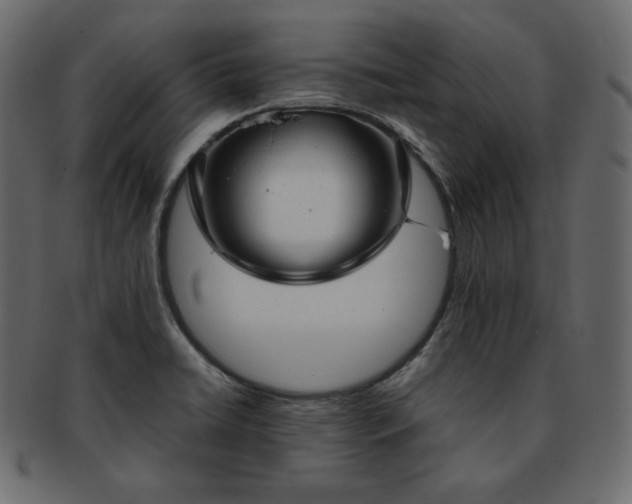 X0000093371422200710191108