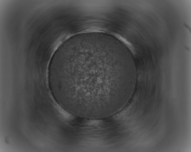 X0000093371423200710191108