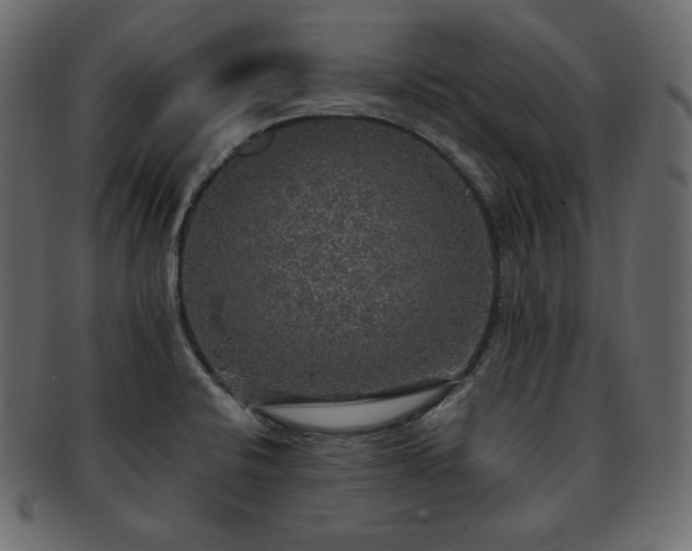 X0000093371424200710191108