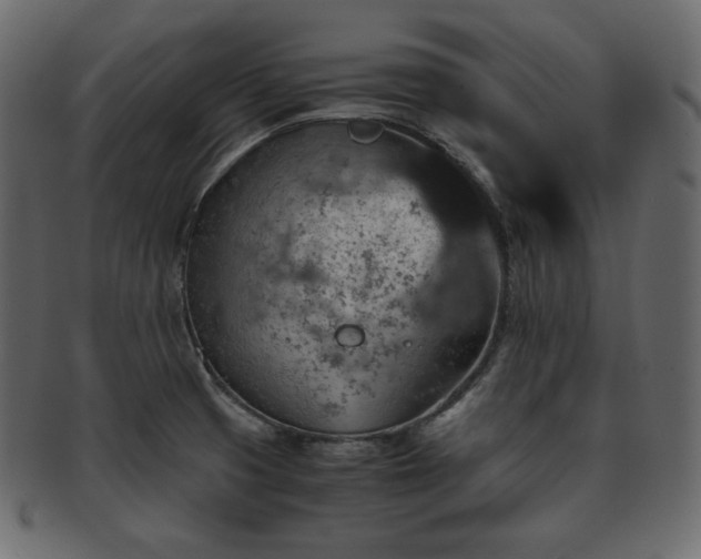 X0000093371425200710191108