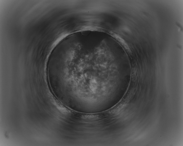 X0000093371427200710191108