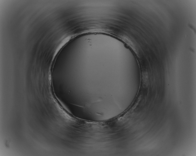 X0000093371428200710191108