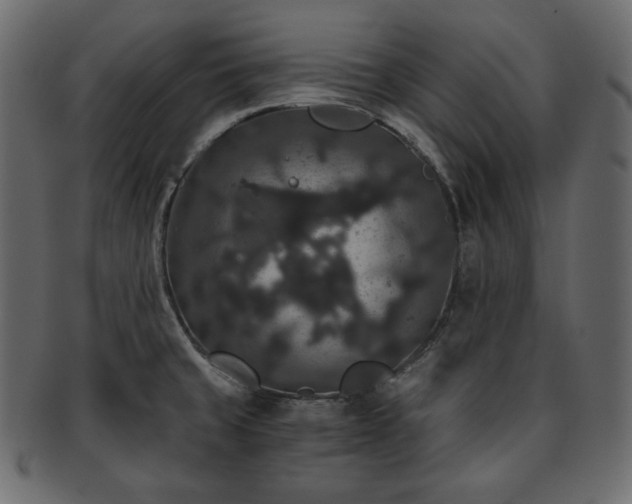 X0000093371429200710191108