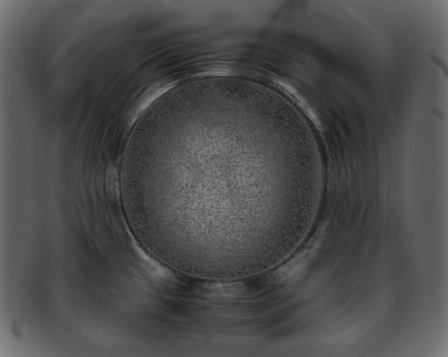 X0000093371433200710191108