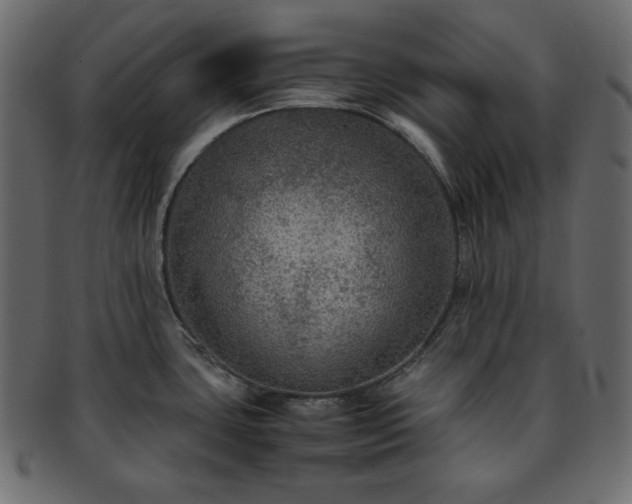 X0000093371435200710191108