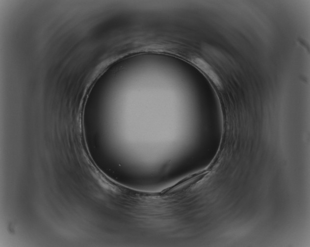 X0000093371436200710191108