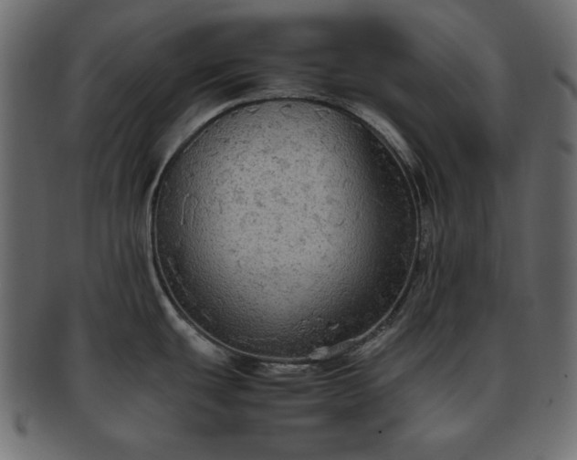 X0000093371439200710191108