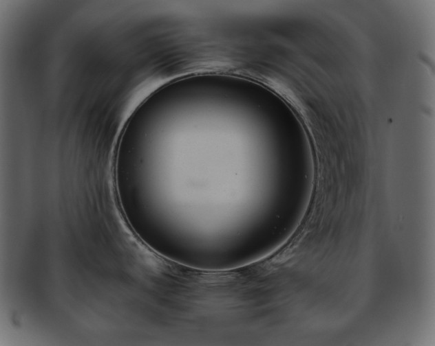 X0000093371440200710191108