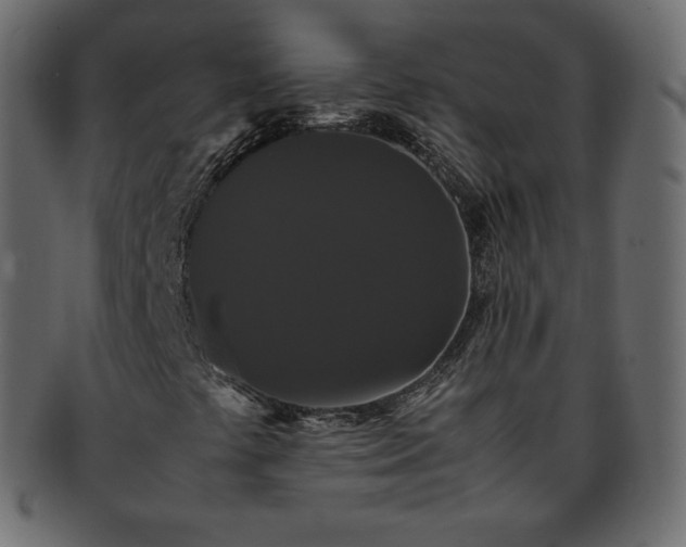 X0000093371441200710191107