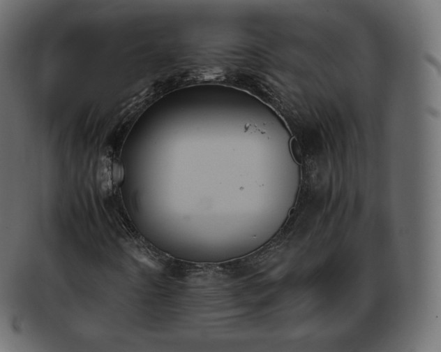 X0000093371442200710191107