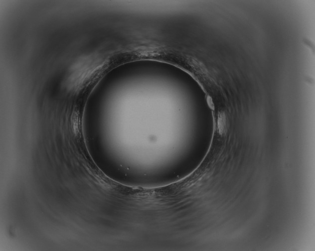 X0000093371444200710191107