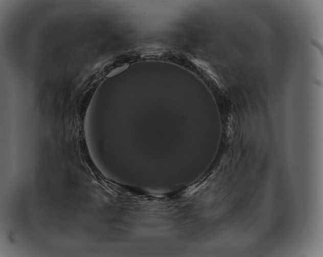 X0000093371445200710191107