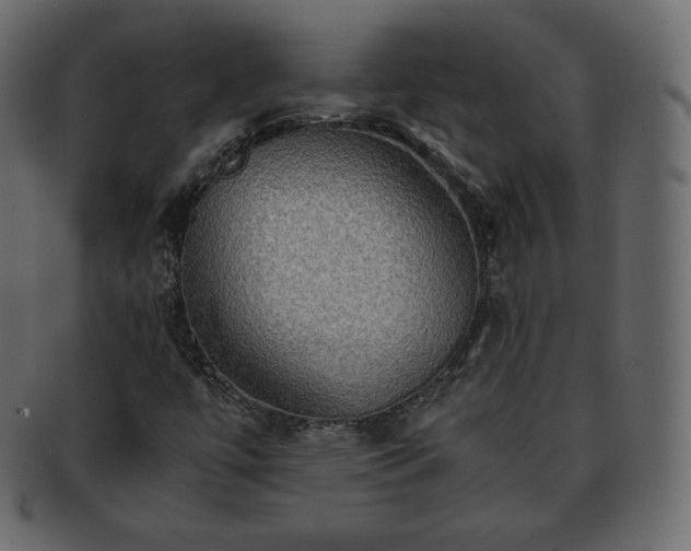 X0000093371447200710191107