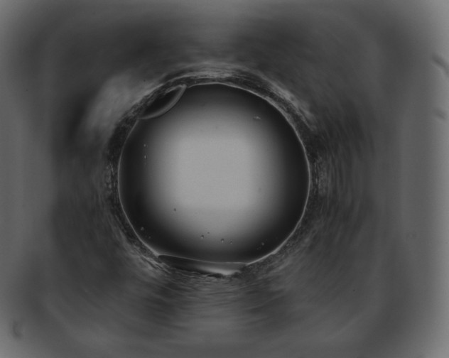 X0000093371448200710191107