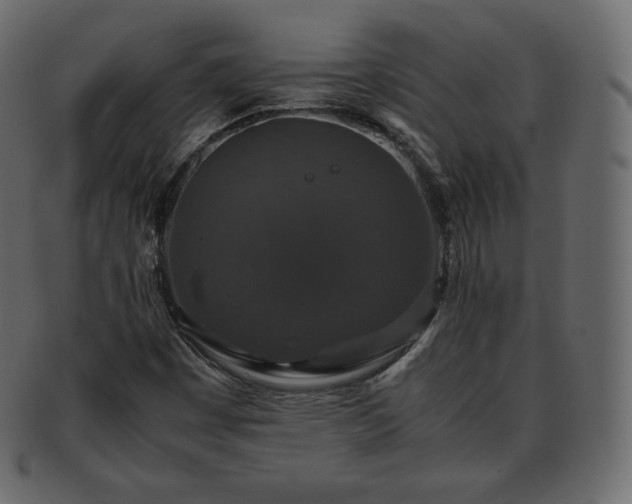 X0000093371449200710191107