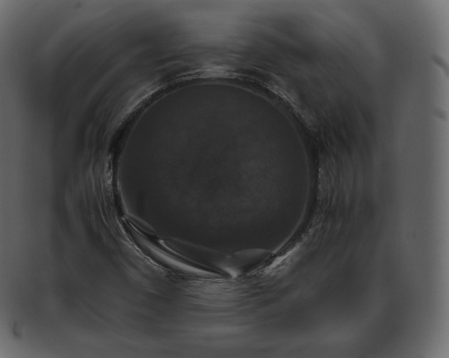 X0000093371450200710191107