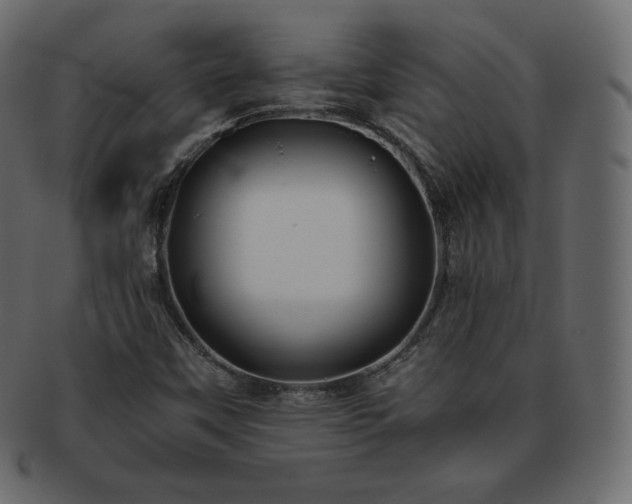 X0000093371451200710191107