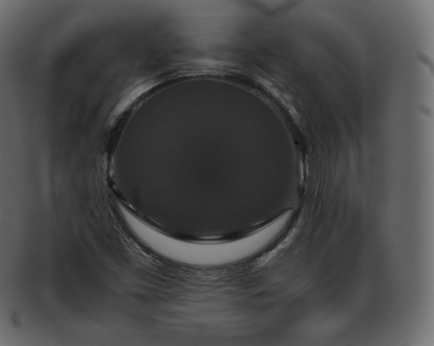 X0000093371453200710191107