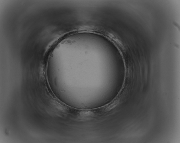 X0000093371454200710191107