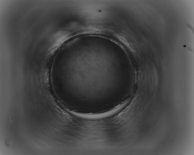 X0000093371455200710191107