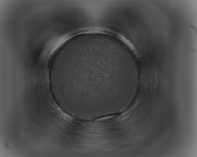 X0000093371456200710191107