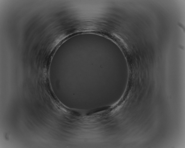 X0000093371457200710191107