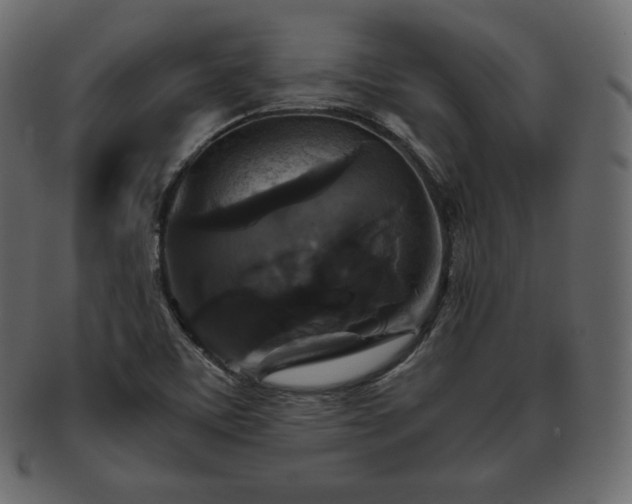 X0000093371459200710191107