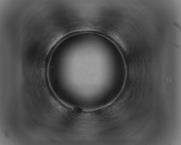 X0000093371460200710191107