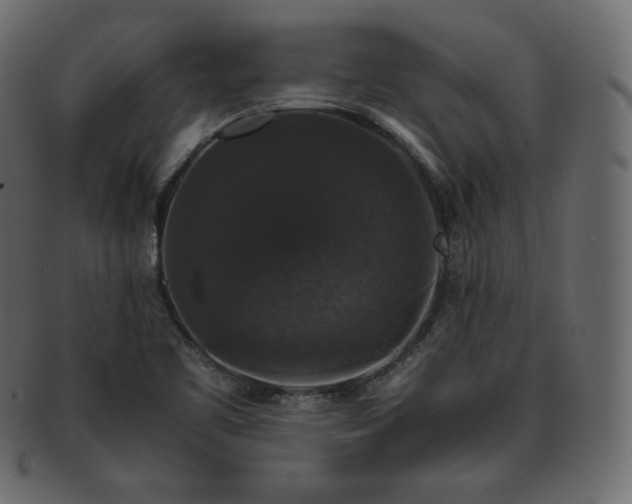 X0000093371461200710191107