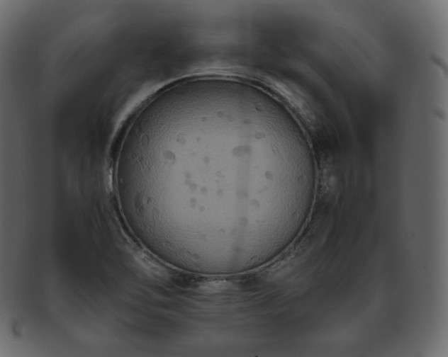 X0000093371462200710191107