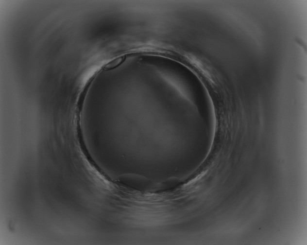 X0000093371463200710191107