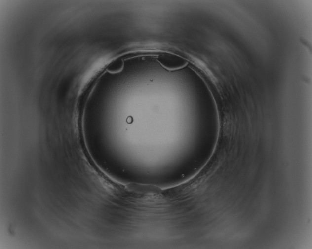 X0000093371464200710191107