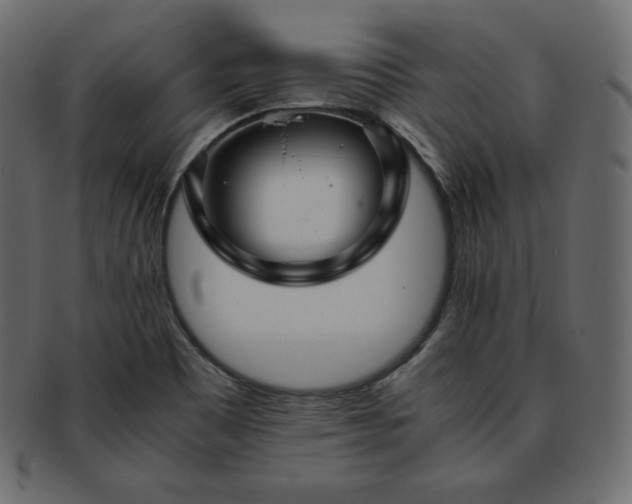 X0000093371465200710191107