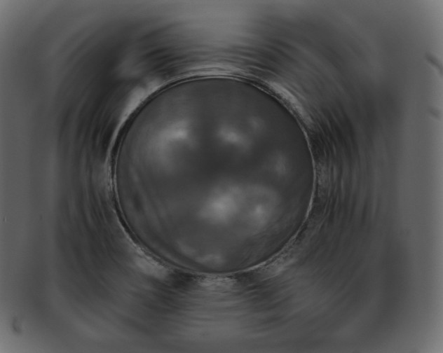 X0000093371466200710191107