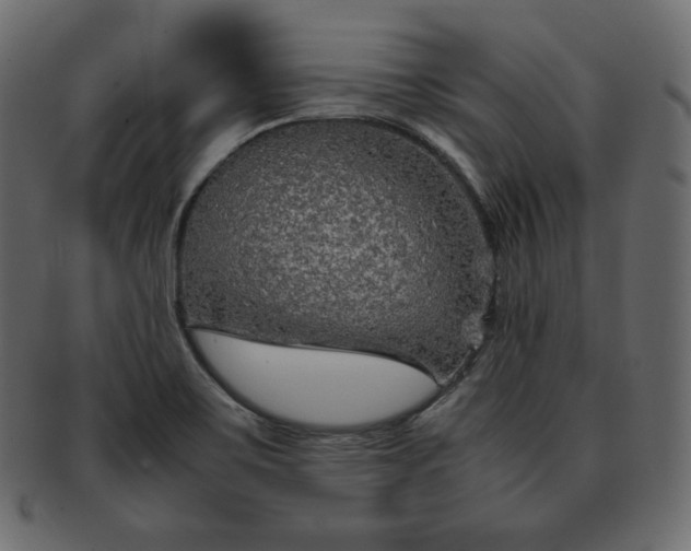 X0000093371467200710191107