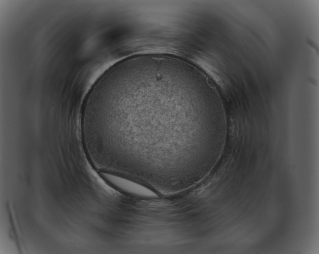 X0000093371468200710191107