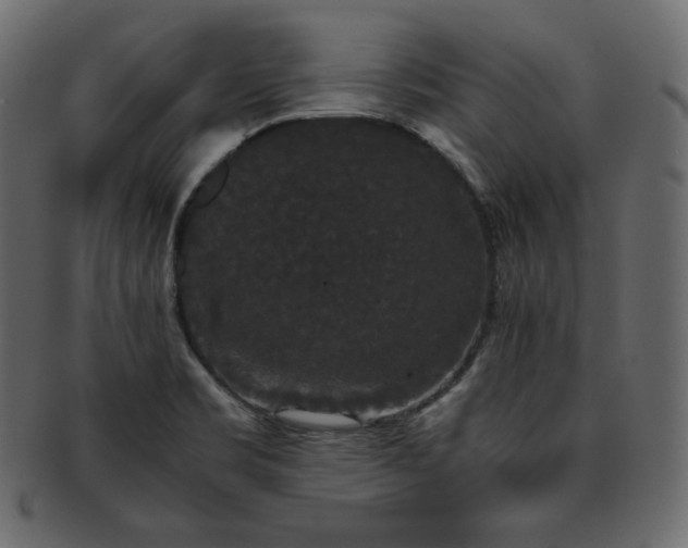 X0000093371469200710191107