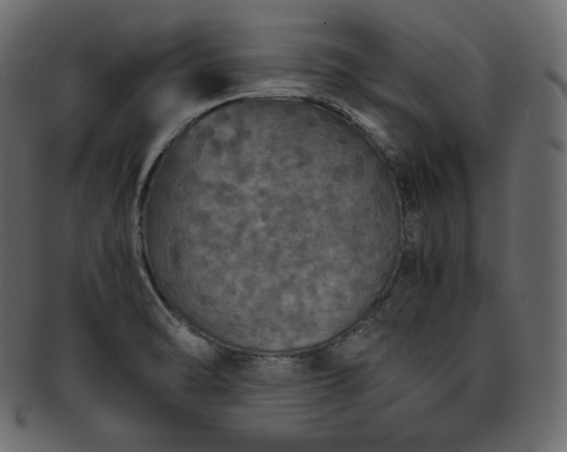 X0000093371470200710191107