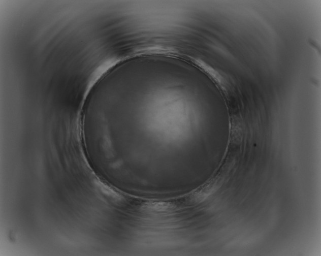 X0000093371474200710191107