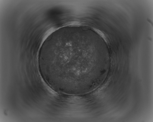 X0000093371475200710191107