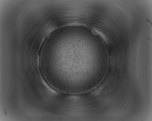 X0000093371476200710191107