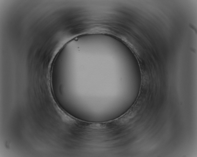 X0000093371478200710191107