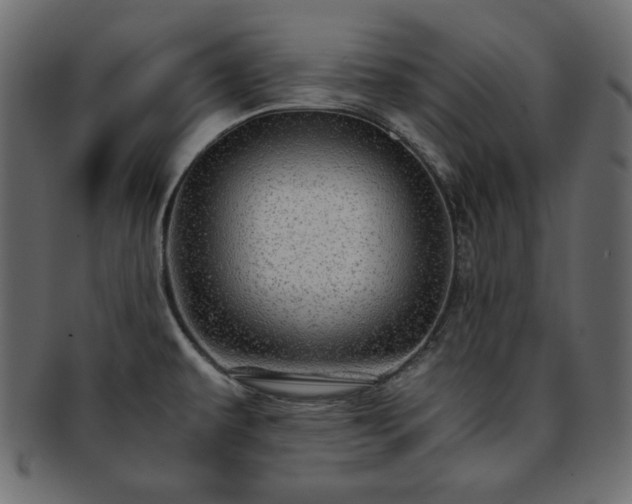 X0000093371479200710191107