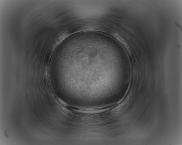 X0000093371481200710191107