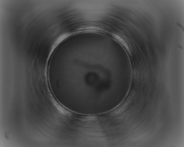 X0000093371482200710191107