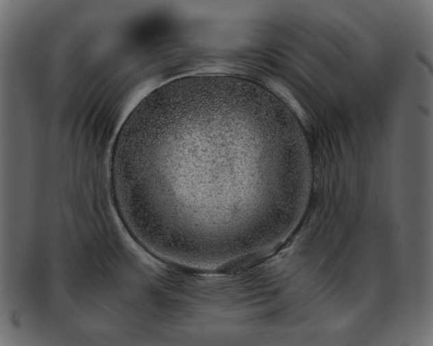 X0000093371483200710191107