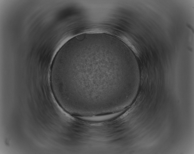 X0000093371484200710191107