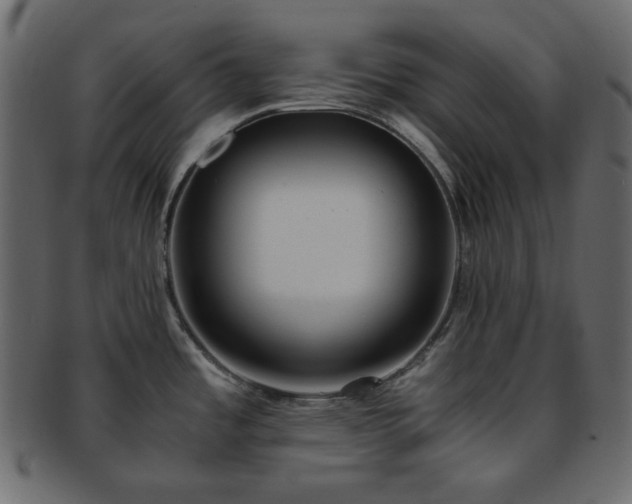 X0000093371485200710191107